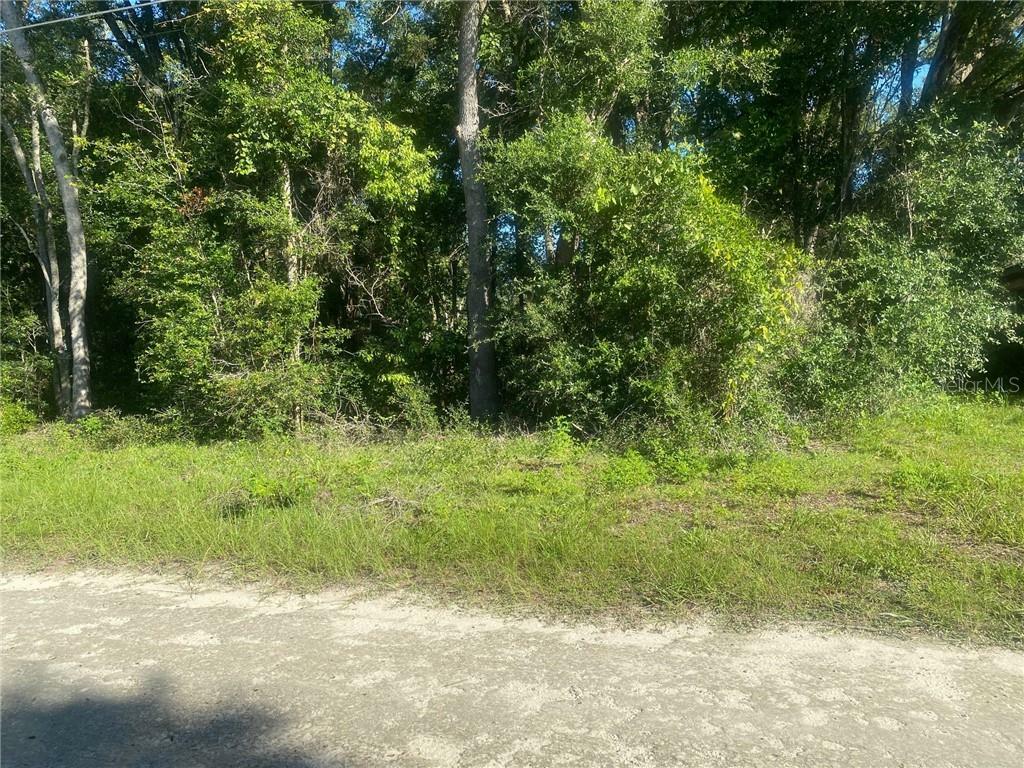 Property Photo:  00 St Benedict  Drive Lot 112 Drive  FL 34432 