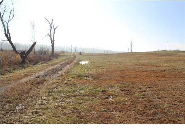 Property Photo: 2018 County Rd 739 AL 35978
