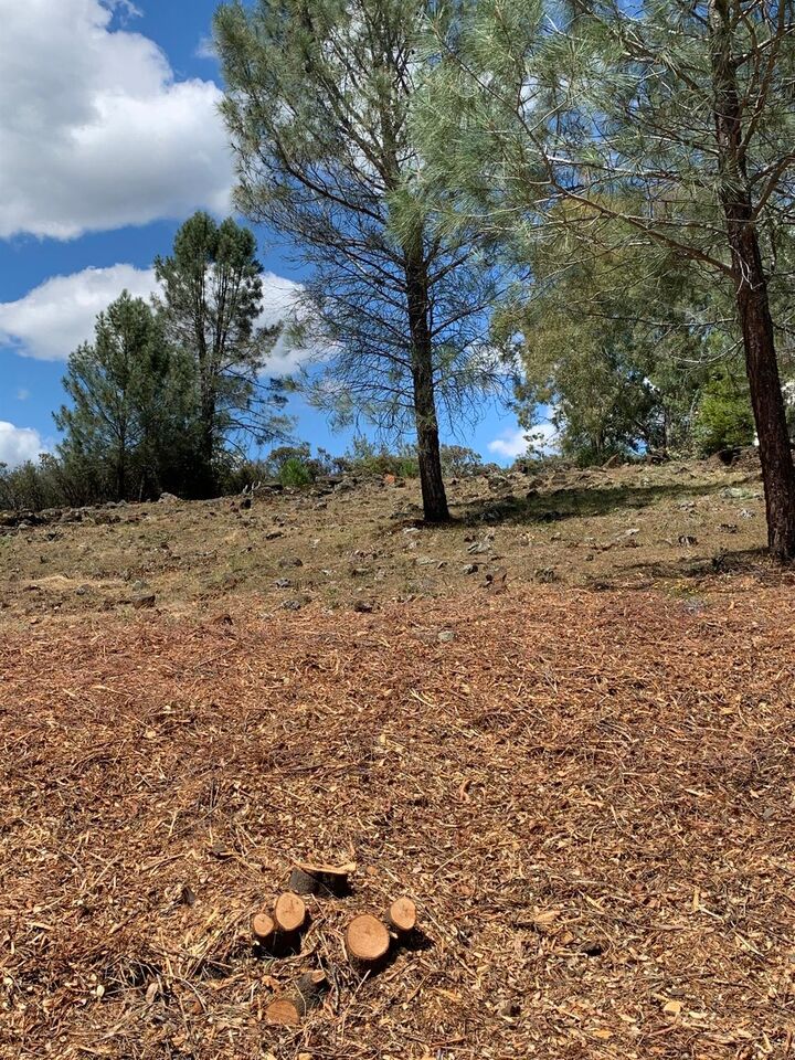 0 Royce Drive  Rescue CA 95672 photo