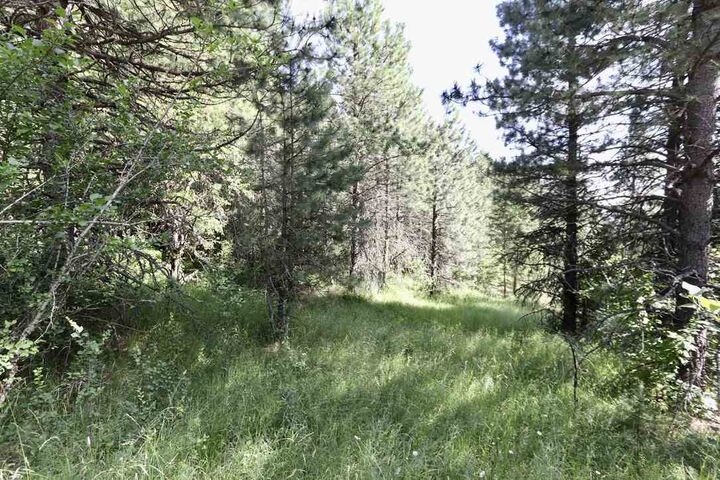 10897 S Harvard (Approx) Rd  Rockford WA 99030 photo