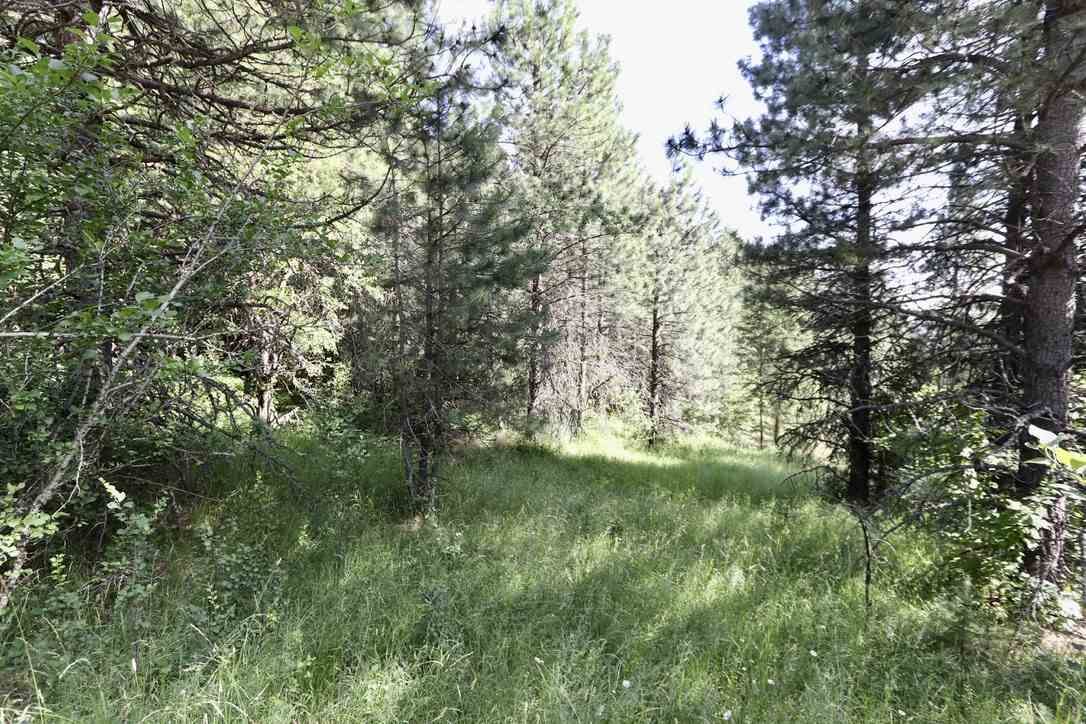 Property Photo: 10897 S Harvard (Approx) Rd WA 99030