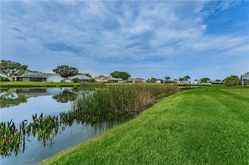 Property Photo:  1715 Westerly Drive  FL 33511 