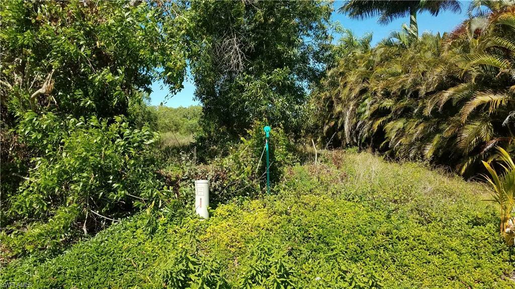 Property Photo:  11499 Oakland Drive  FL 33922 