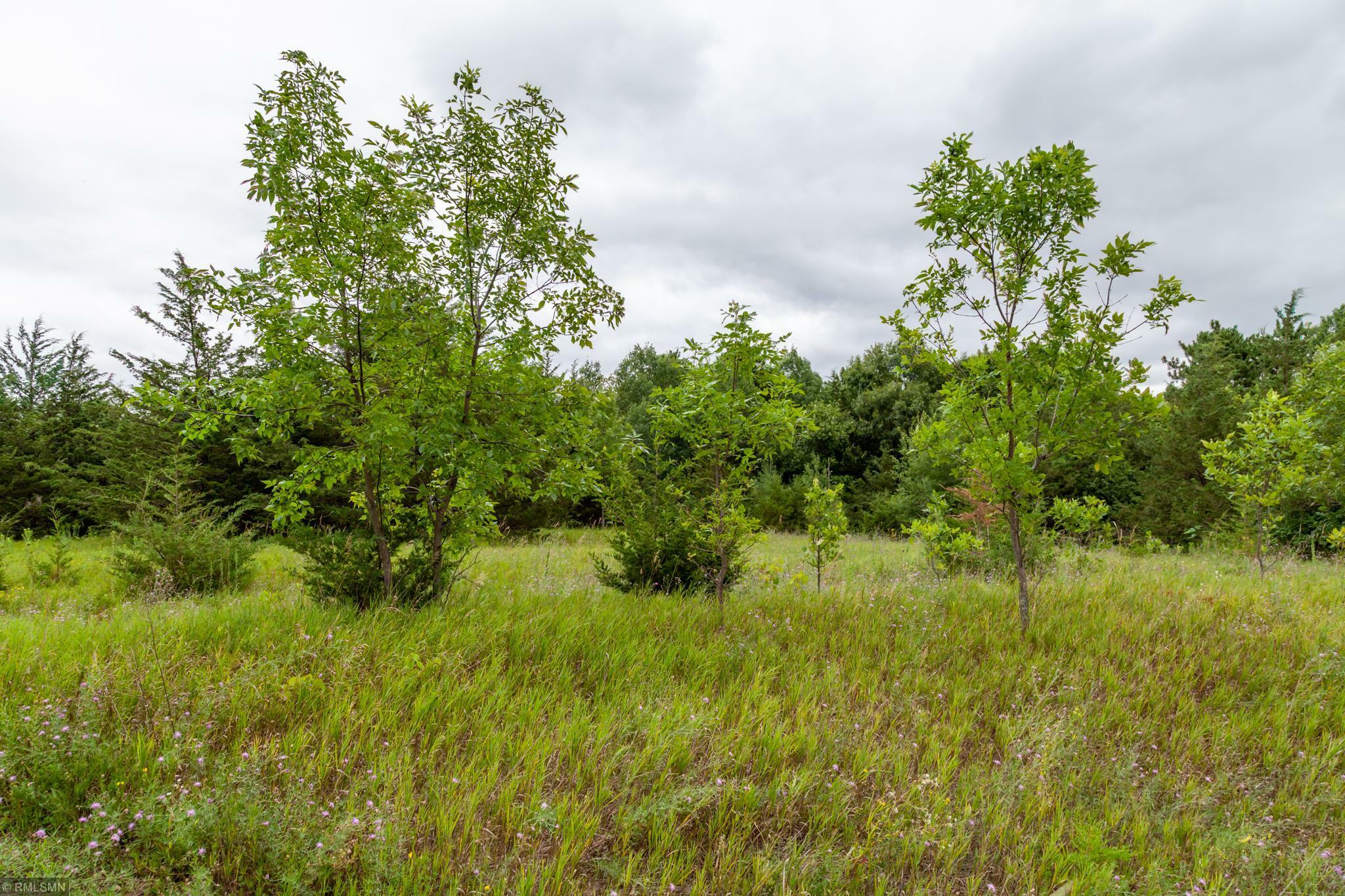 Property Photo:  368 English Court  WI 54016 