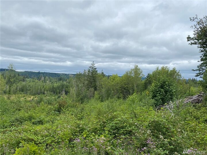 Property Photo: 1 Norton Lane WA 98570