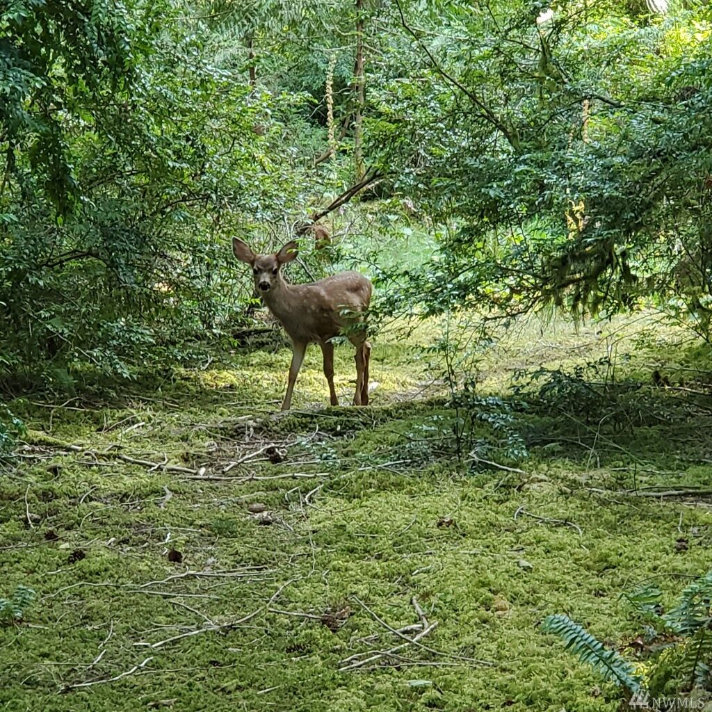 Property Photo:  600 E Pointes Dr W  WA 98584 