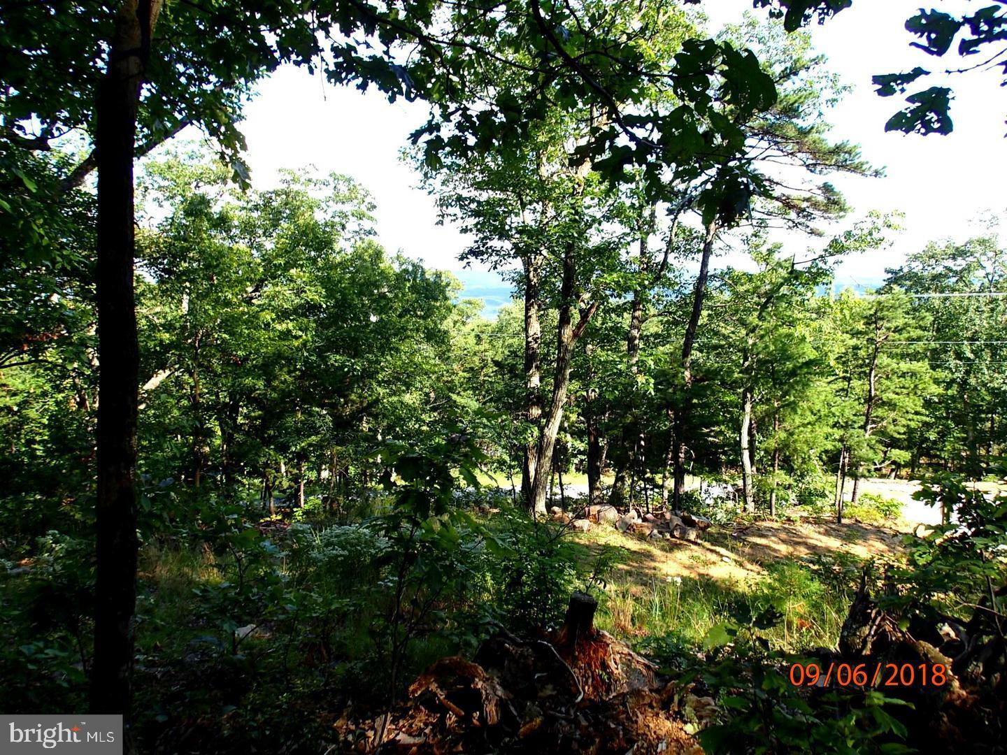 Property Photo:  0 Tomahawk Trail  VA 22602 