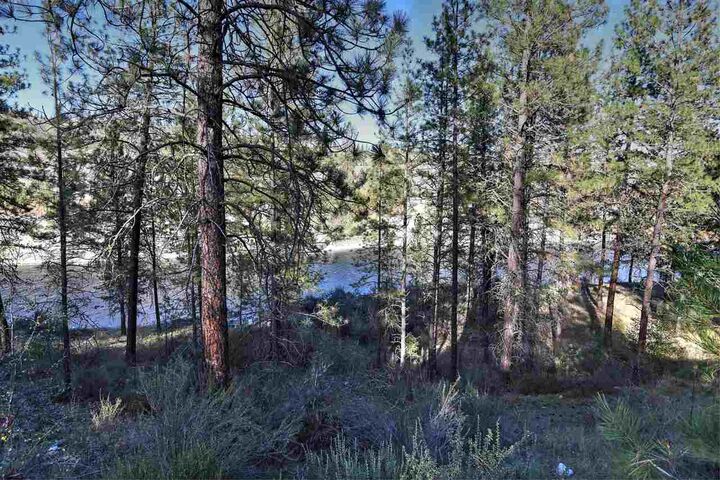 47881 River View E Ln  Ford WA 99013 photo