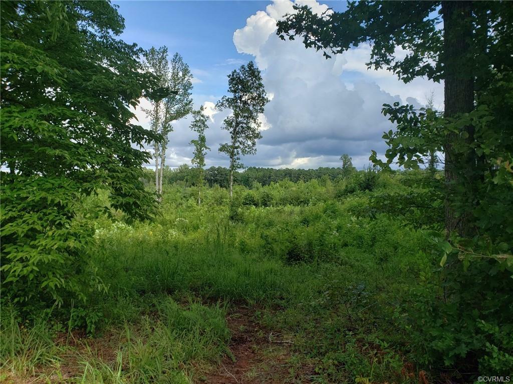 Property Photo:  Lot 4 Boydton Plank Road  VA 23889 