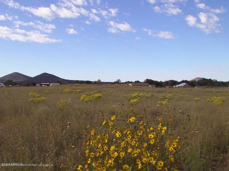 Property Photo:  8088 Talmage Trail  AZ 86004 