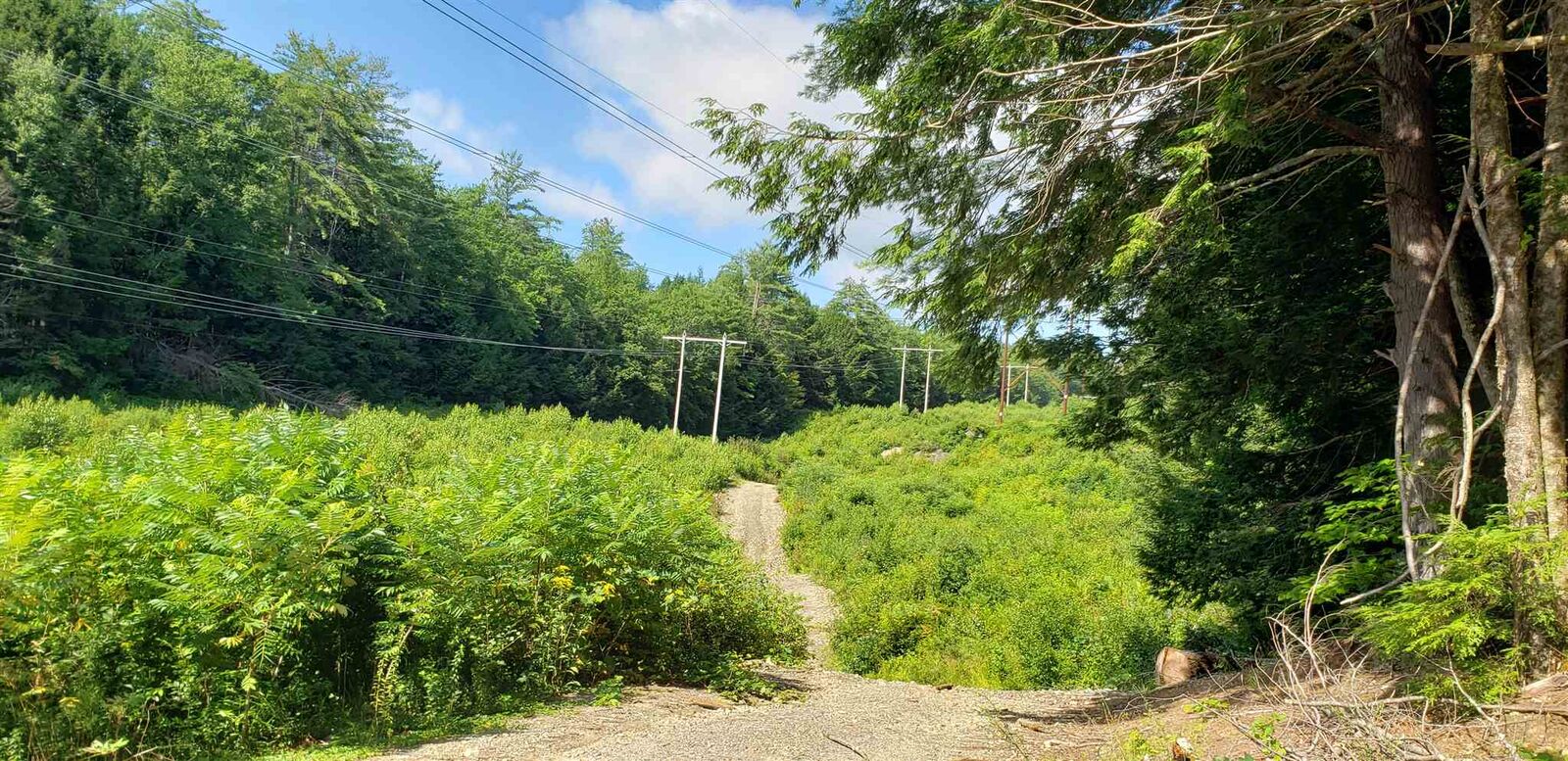 Property Photo:  0 Jackson Lot Road  NH 03470 