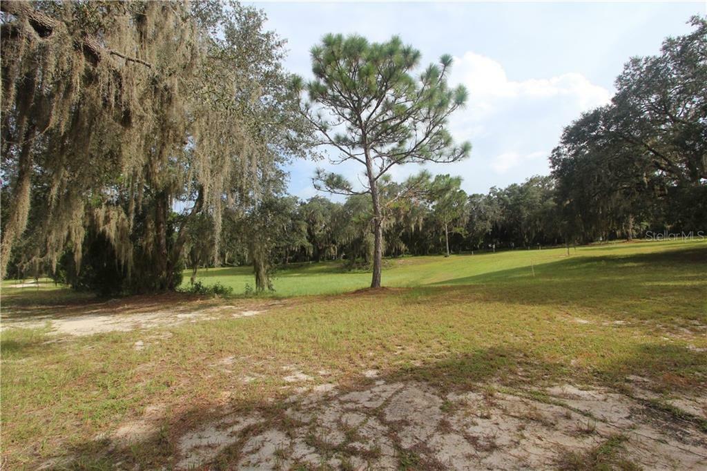 Property Photo:  Big Pine Island Drive  FL 32159 