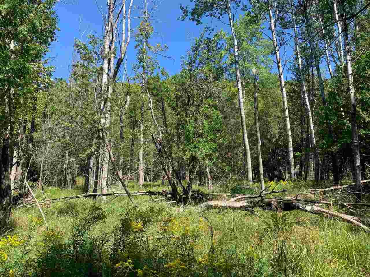 Property Photo:  Tbd Larch  MI 49712 