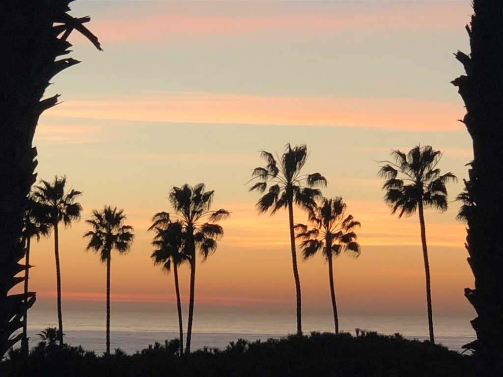 Property Photo: 6455 La Jolla Blvd. 336 CA 92037