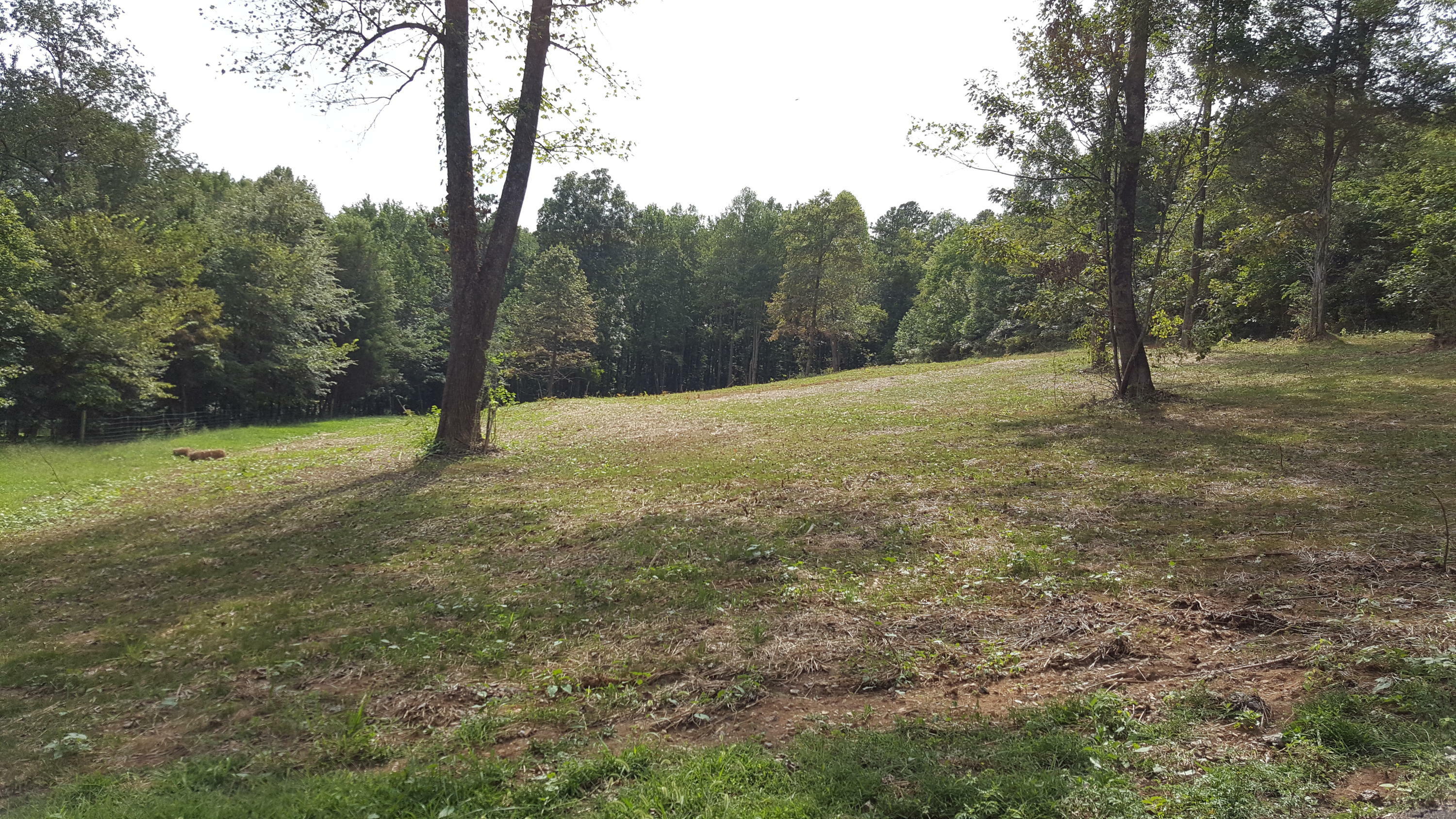 Property Photo:  2839 Sands Rd  TN 37931 