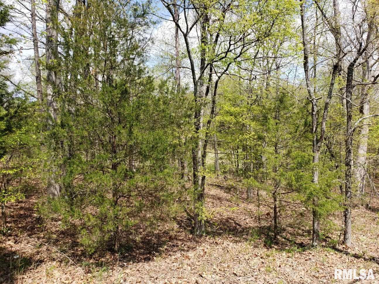 Property Photo: Lots 20 & 21 Indian Creek IL 62939