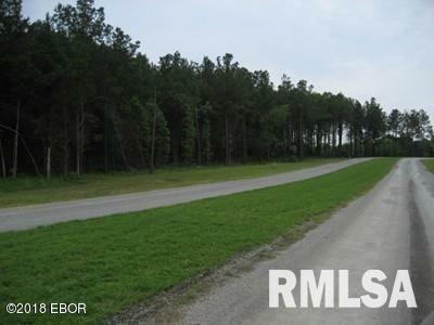 Property Photo: Lot 358 Parrish Ridge Lane IL 62939