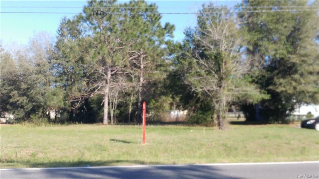 316 Pleasant Grove Road  Inverness FL 34452 photo