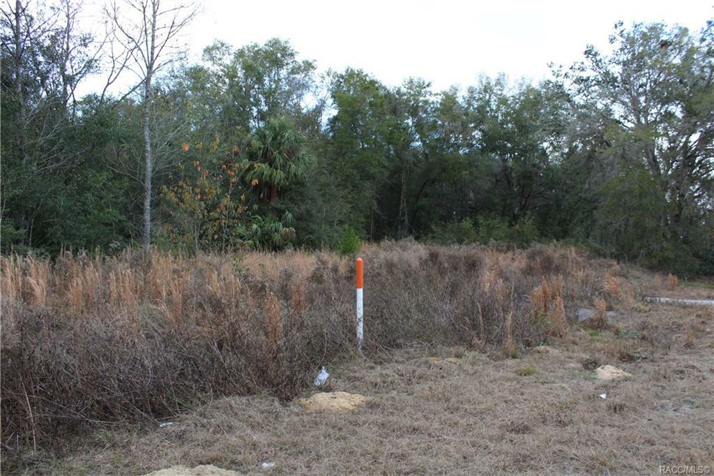 Property Photo:  868 N Lecanto Highway  FL 34461 