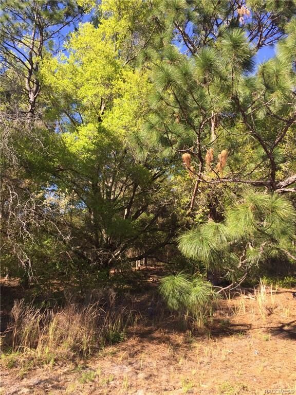 Property Photo:  2085 Huntington Drive  FL 34465 