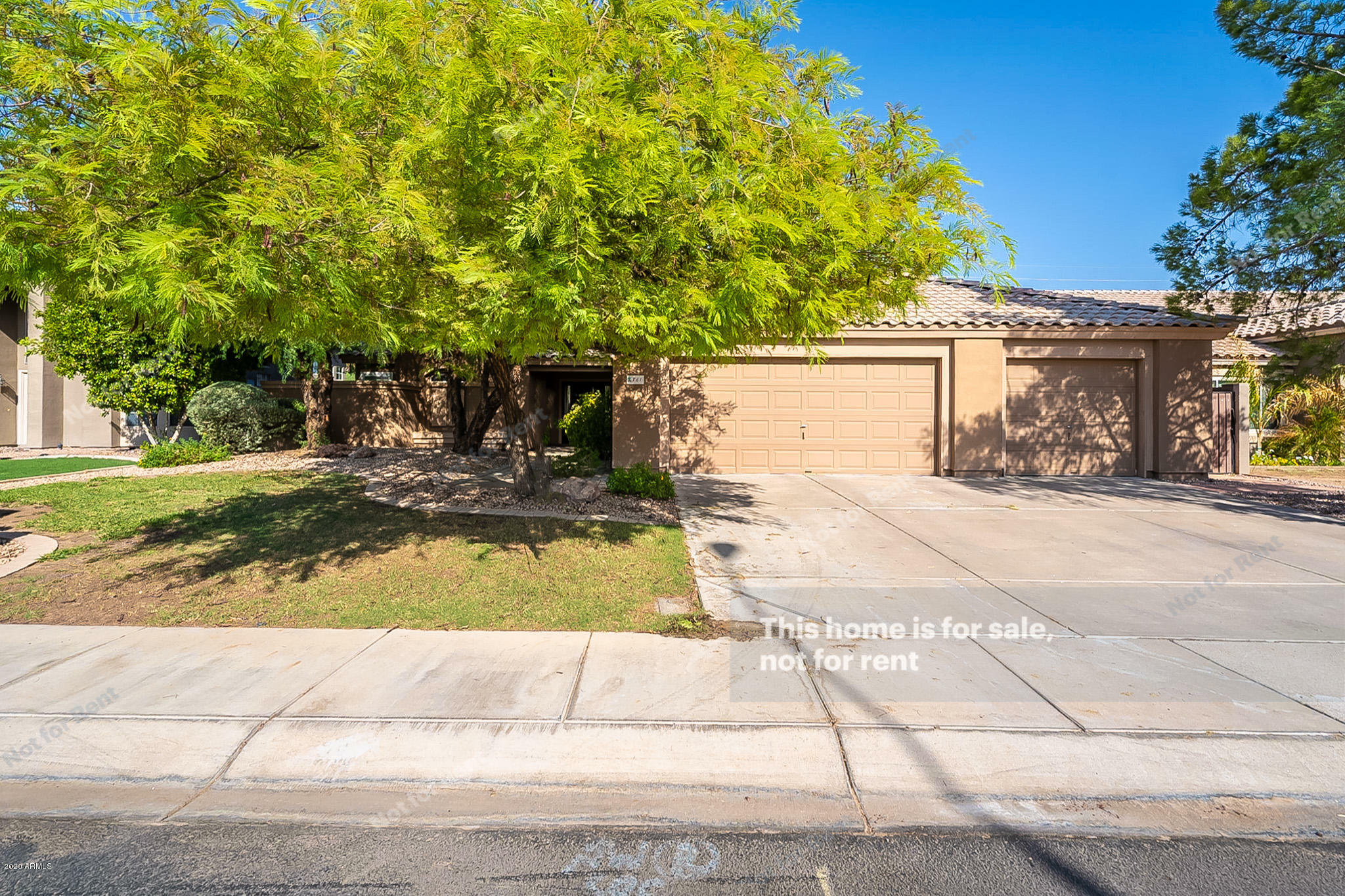 Property Photo:  861 N Santa Anna Street  AZ 85224 