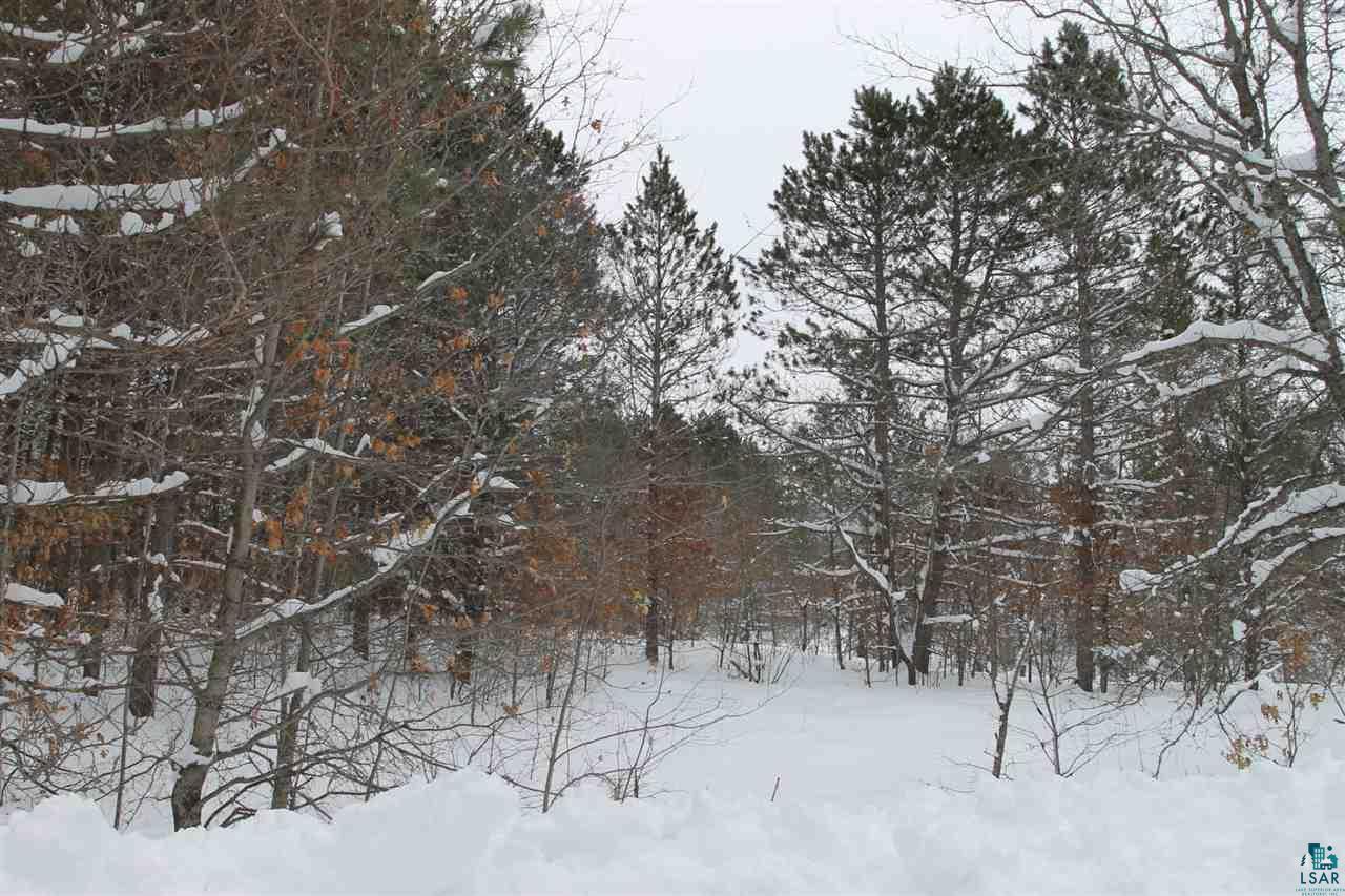 Property Photo: 000 Forest Road 431 WI 54806