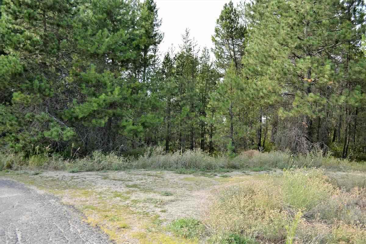 Property Photo:  Lot 8 Lakeside Dr  WA 99156 