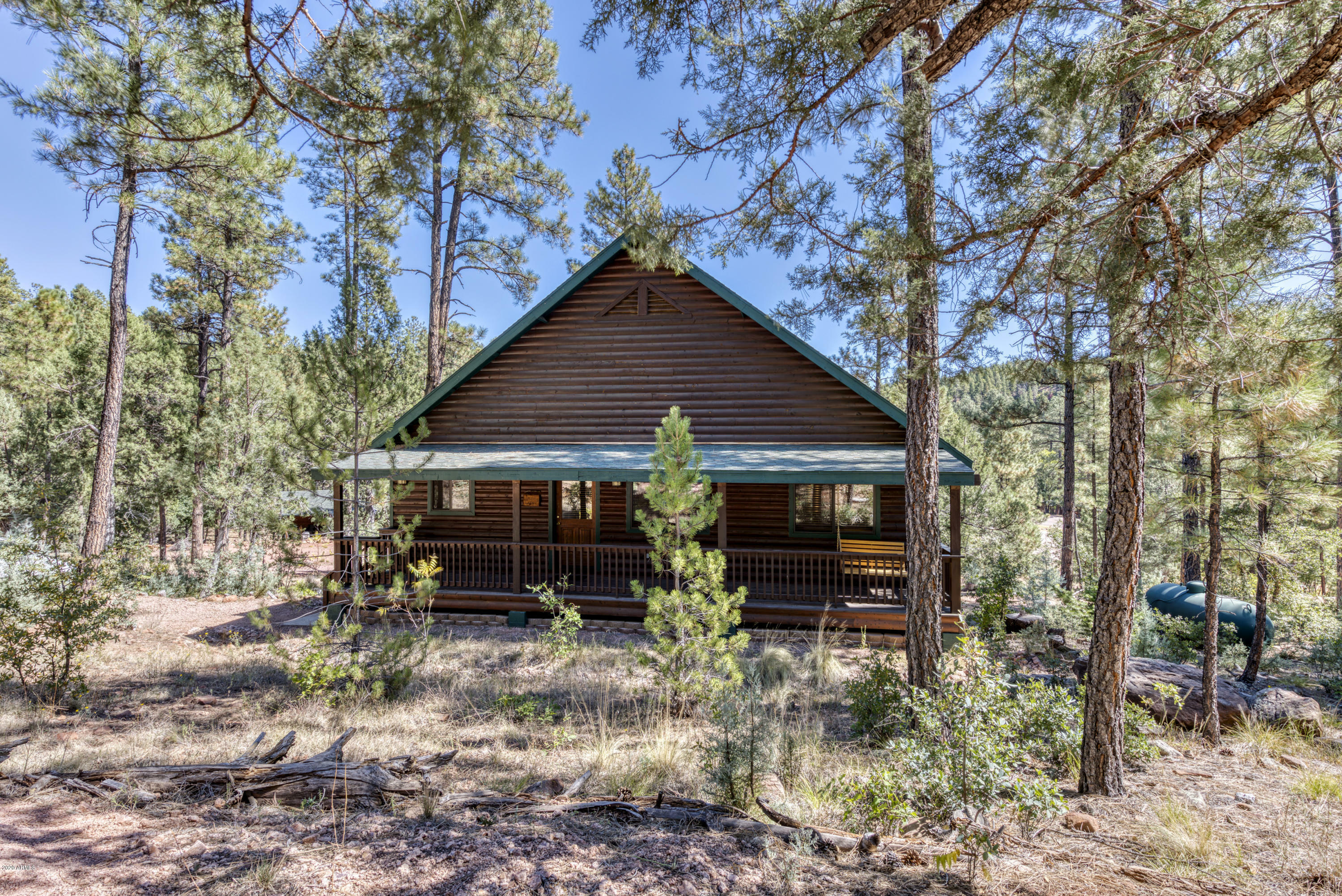 Property Photo:  168 N Little Creek Lane  AZ 85541 