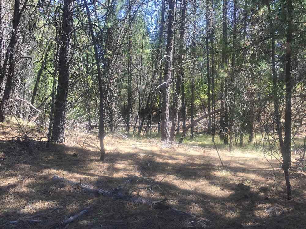 Property Photo:  22406 N Jermain Ln  WA 99005 