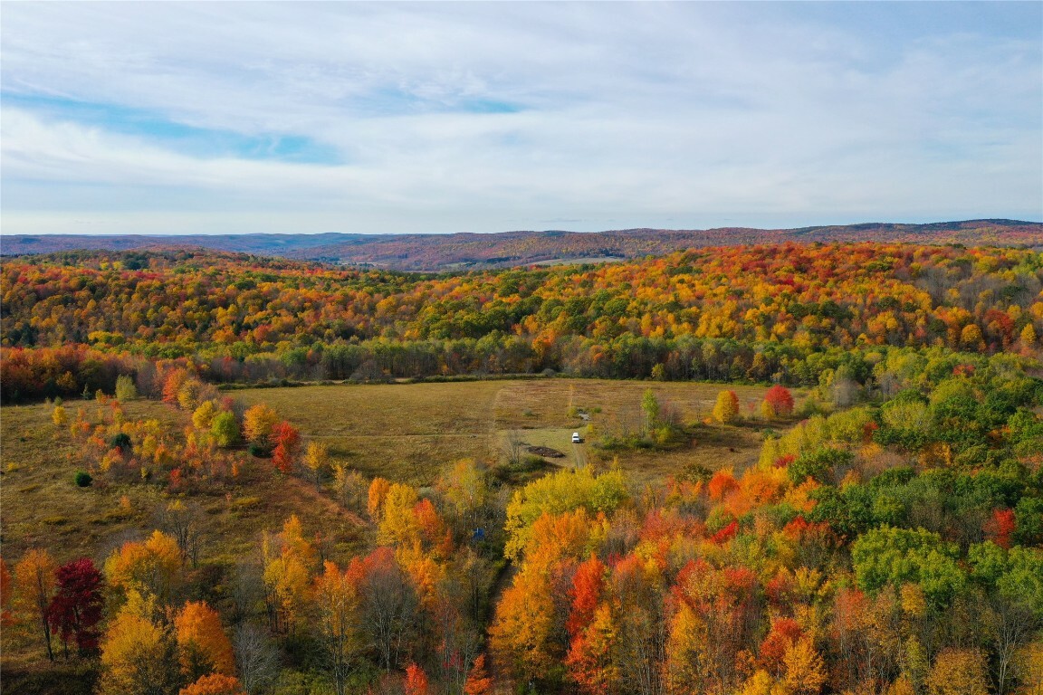 Property Photo:  110 Parsons Hill Road  NY 13736 