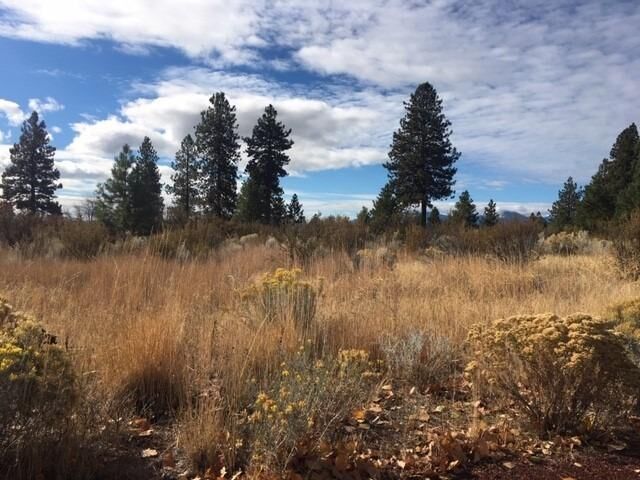 0 Mark Court  Klamath Falls OR 97603 photo