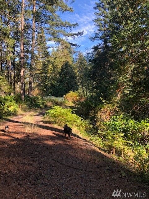 Property Photo: 0 Reef Net Rd WA 98250