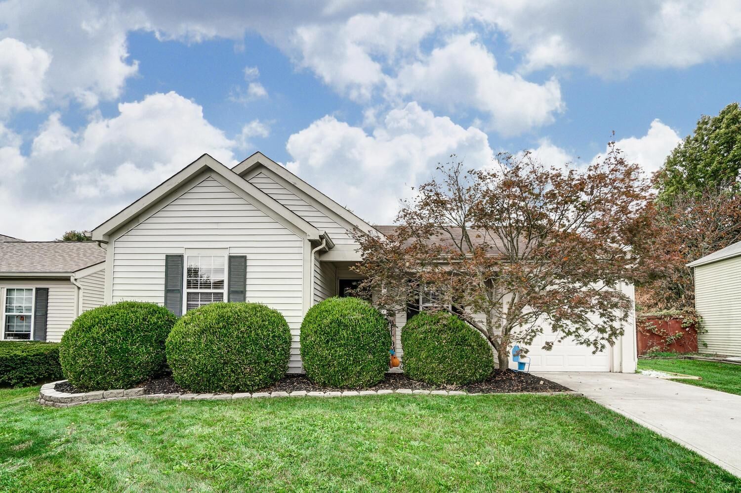 Property Photo:  8667 Blanca Court  OH 43065 