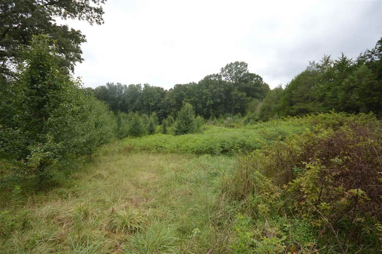 Property Photo: 1040 Matthew Mill Rd VA 22968