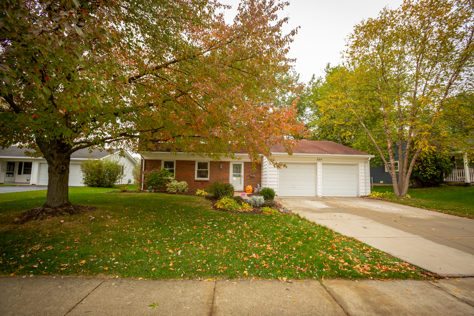 Property Photo: 224 Cloverdale Lane IL 60194