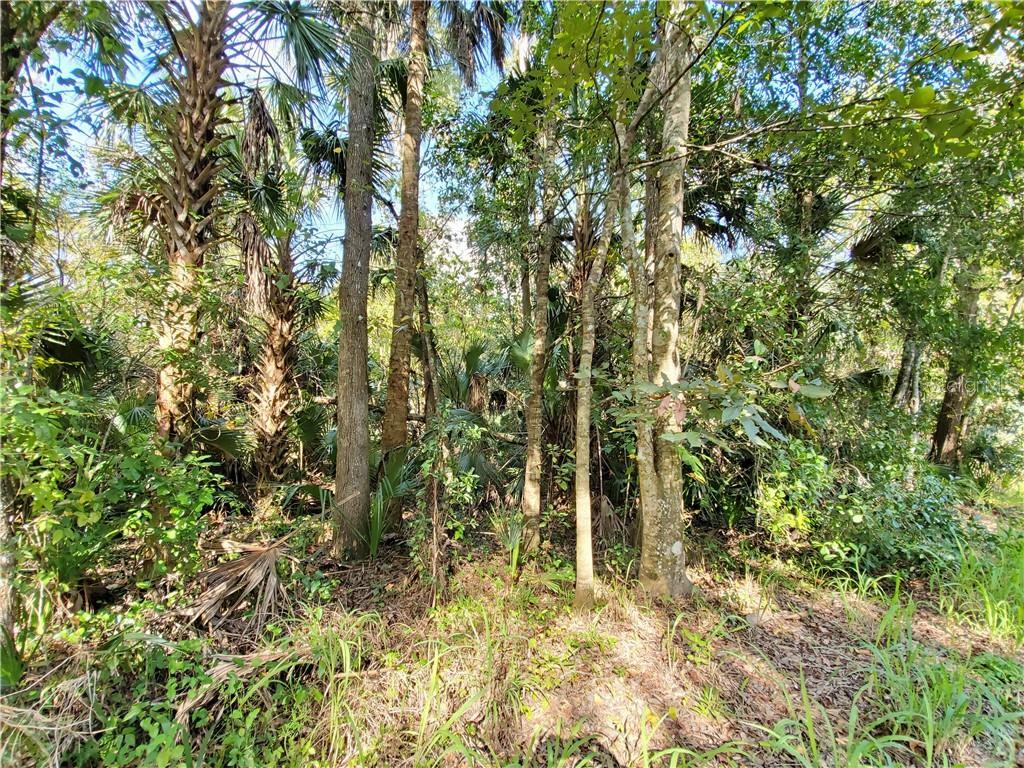 Property Photo:  Florida Avenue  FL 32765 