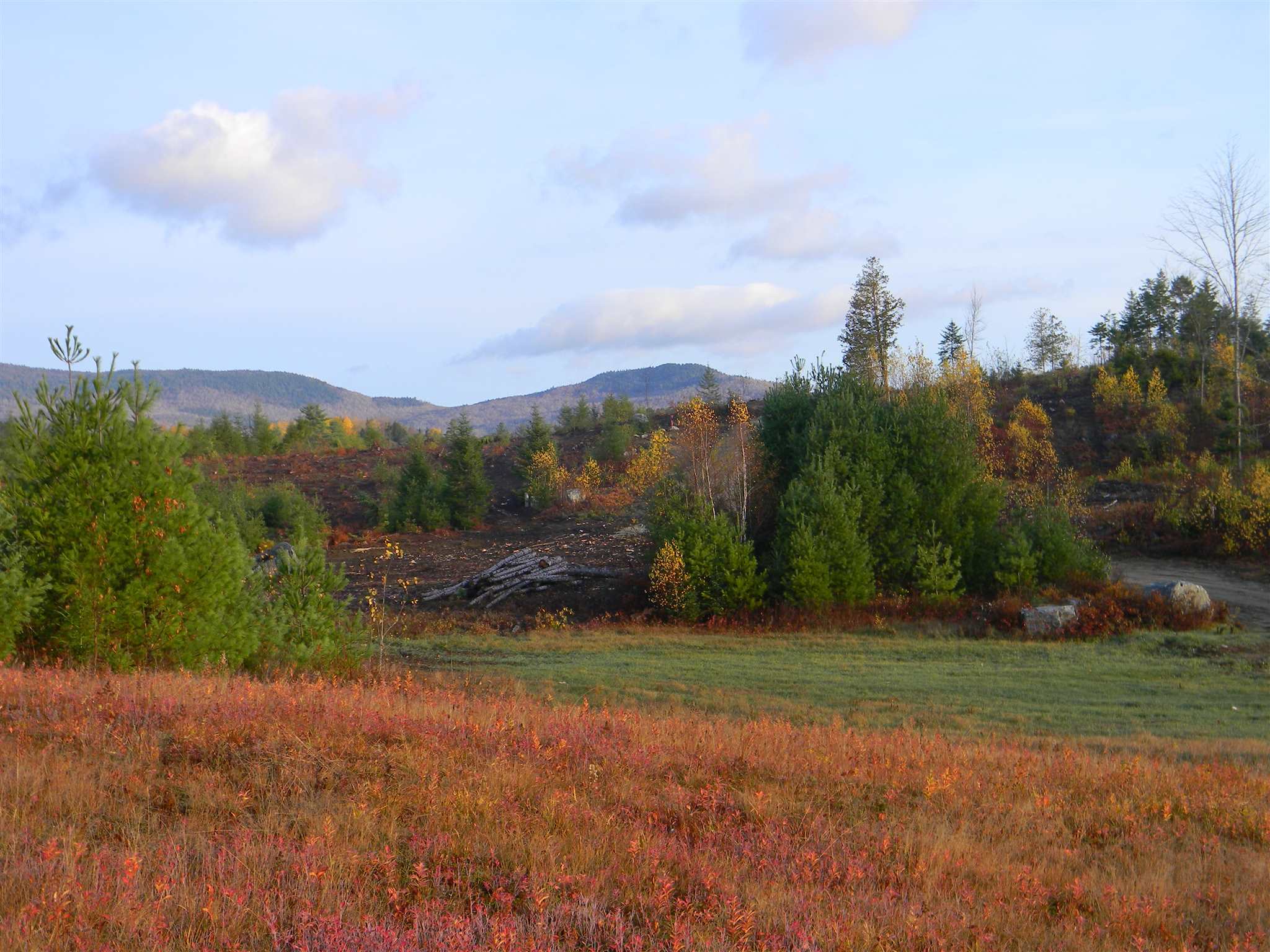 Property Photo: L34i Off Woodbury Cole Road NH 03582