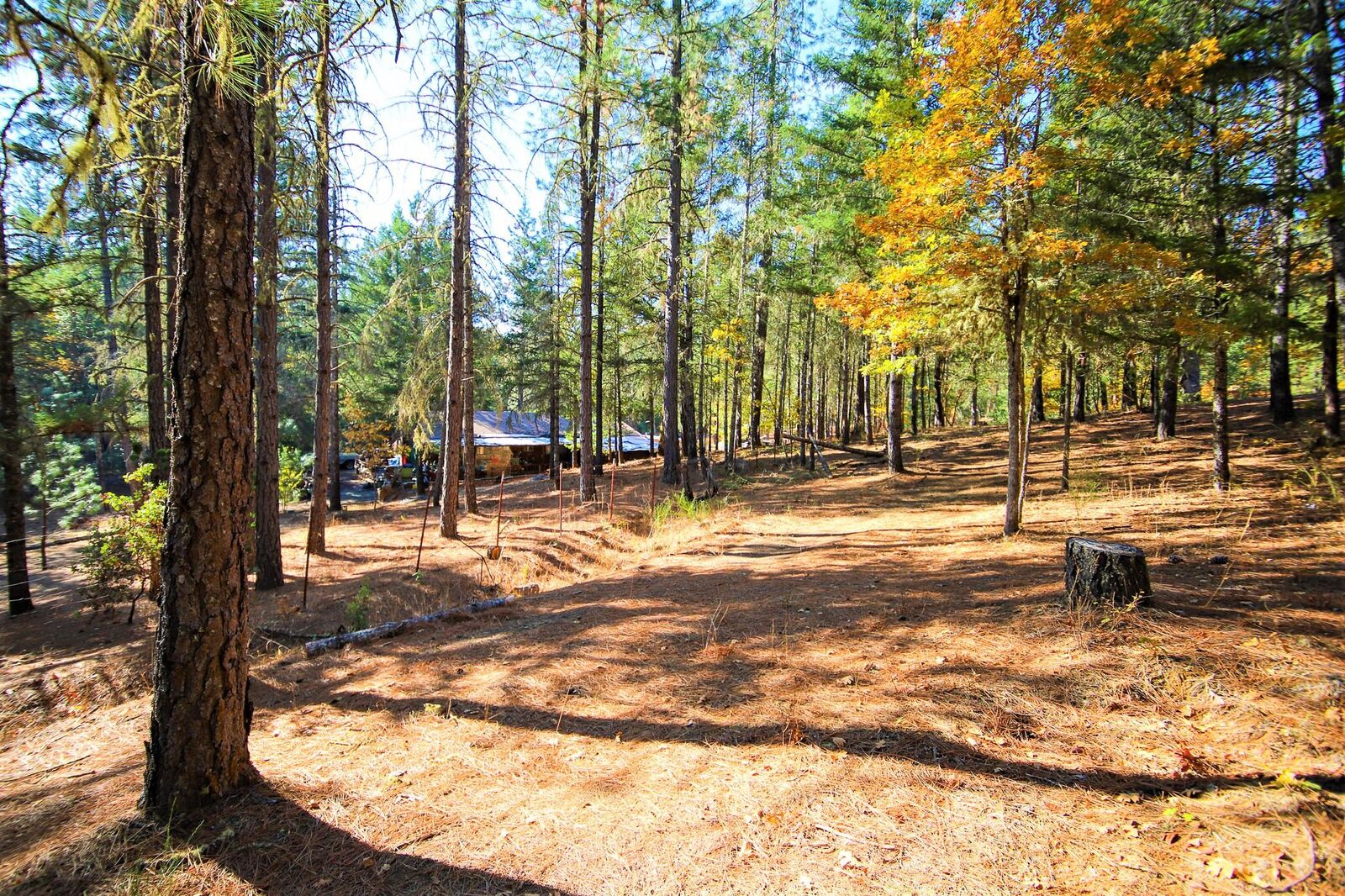 House for sale in Grants Pass 7790 Riverbanks Road, Grants Pass, OR 97527