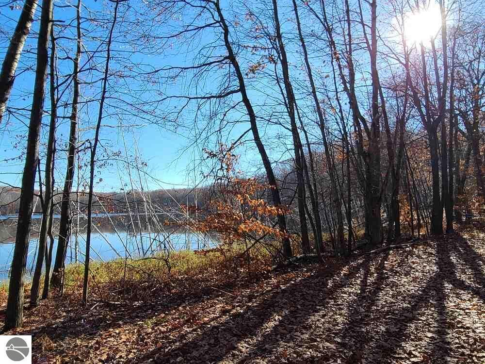 Property Photo:  Lot 313 Alpine Drive  MI 49677 