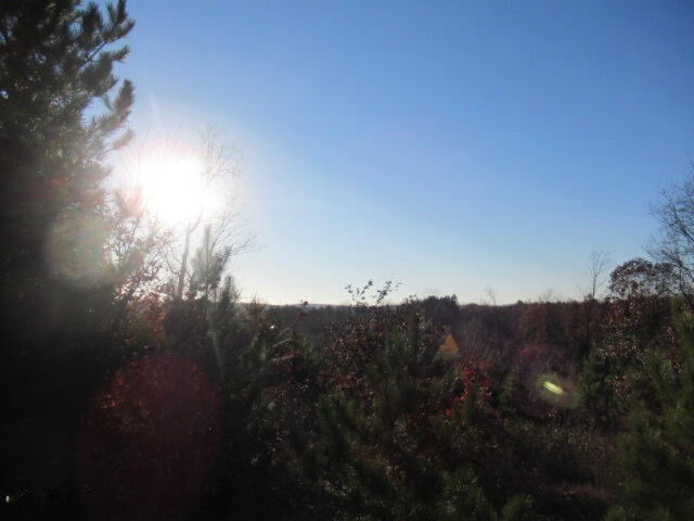 Property Photo:  7666 Wills Road  MI 49614 