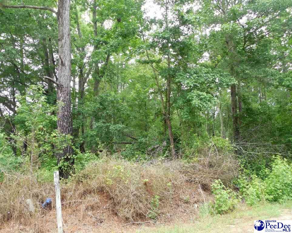 Property Photo:  Tbd Shuler Road (Lot 051)  SC 29506 