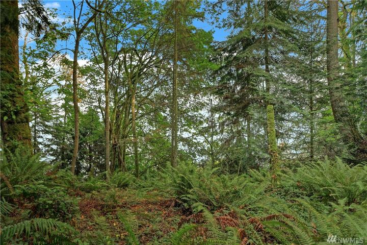 Xx S Camano Dr  Camano Island WA 98282 photo