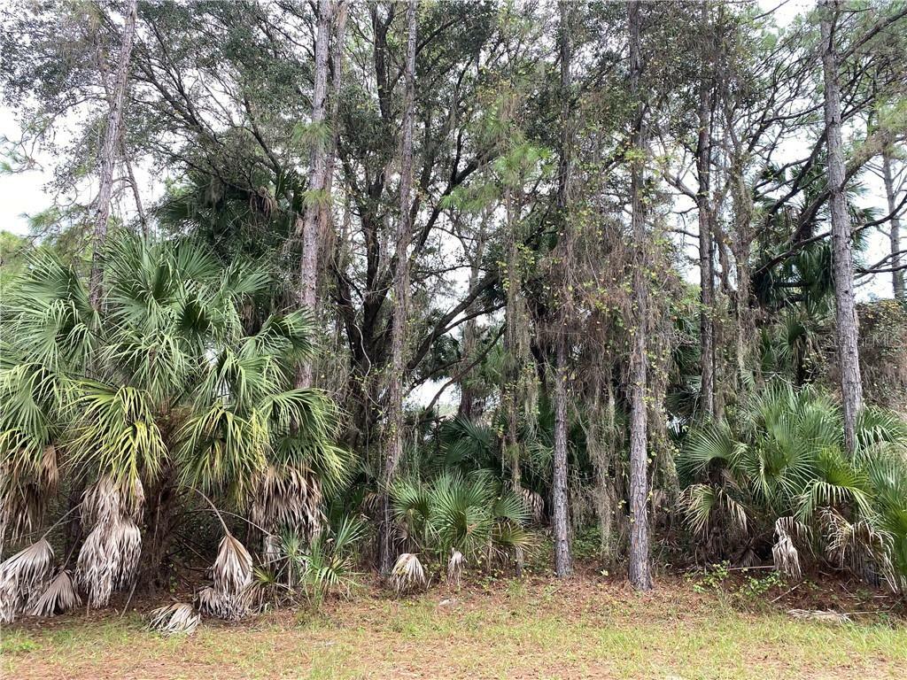 Property Photo:  Nabble Lane  FL 34288 