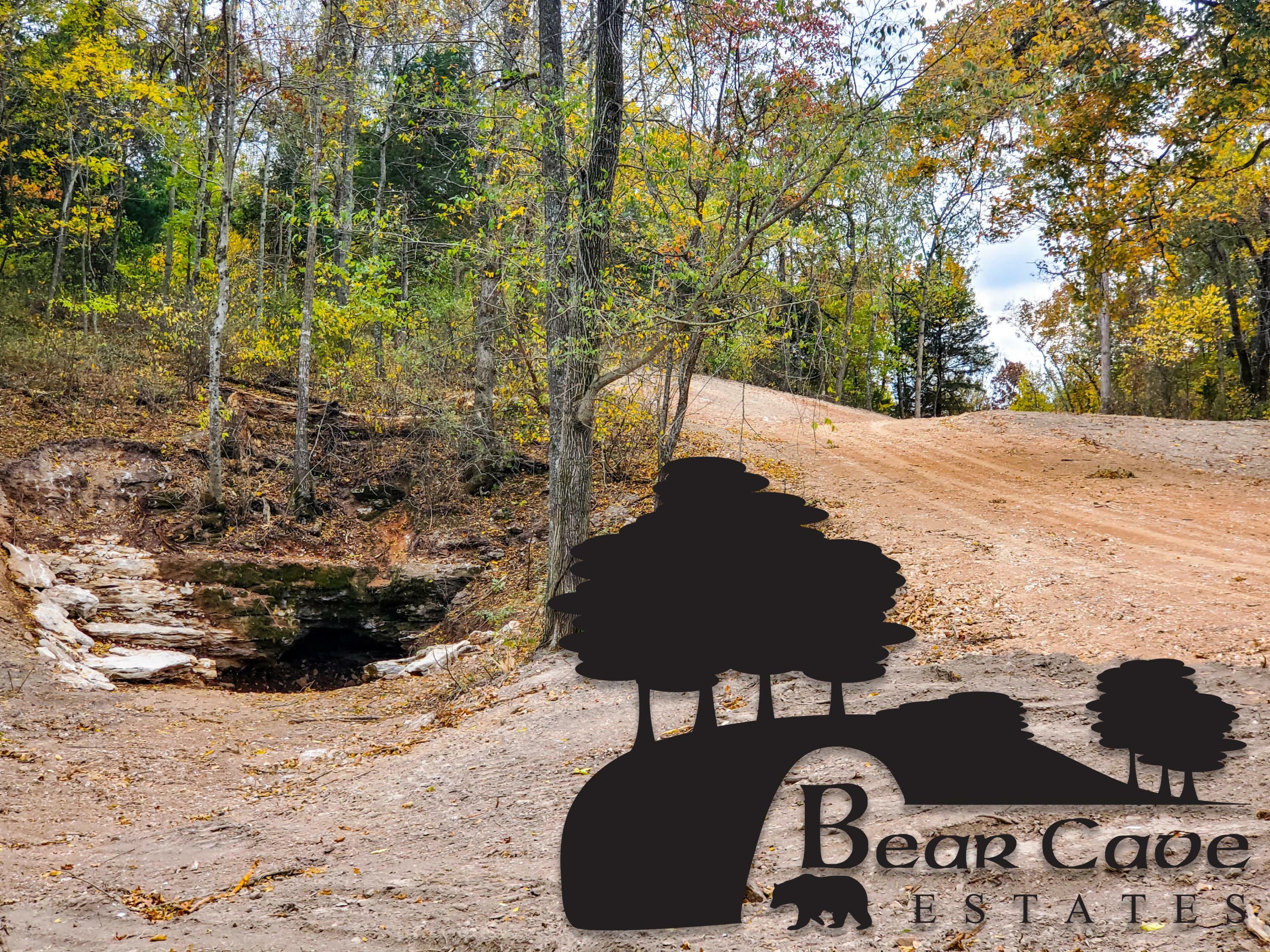 Property Photo:  Lot 14 Bear Cave Estates  MO 65705 