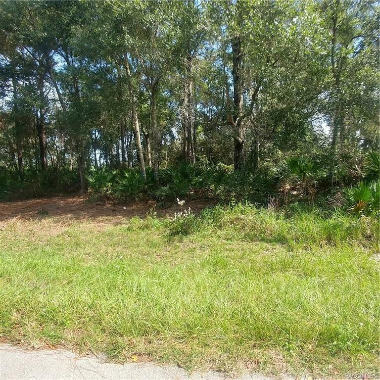 8501 N Hatfield Terrace  Crystal River FL 34429 photo