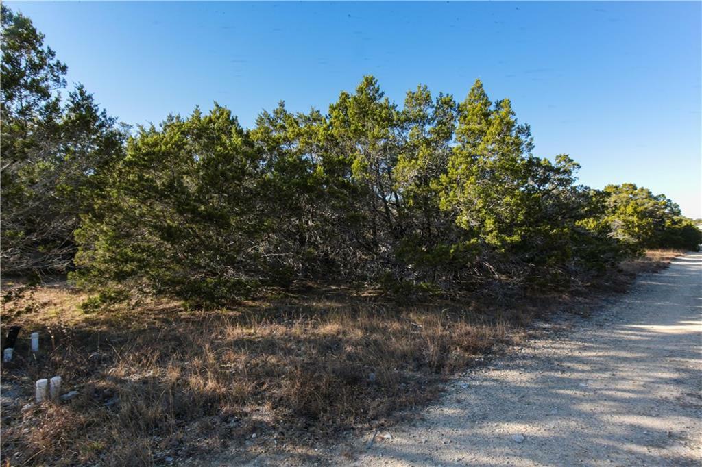 Property Photo:  204 Cheyenne Trail  TX 78676 