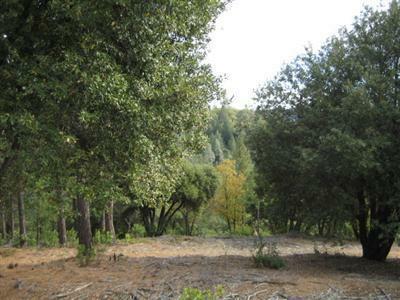 Property Photo:  0 106 Acres Foresthill  CA 95631 