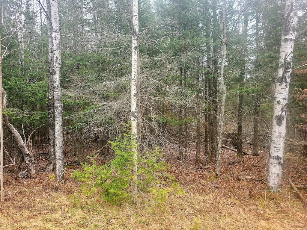 Property Photo:  0 Silver Lake Road  NY 12981 