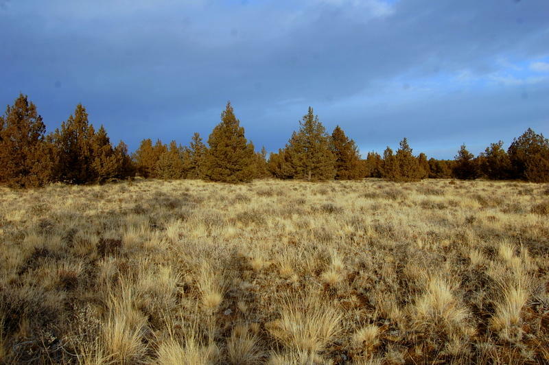 Property Photo:  Tl 1700 Iowa Road  OR 97754 