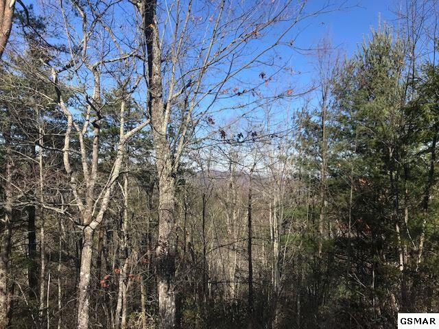 Property Photo: Blossom Hollow Way TN 37876